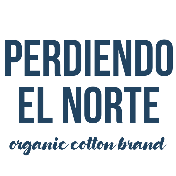 Perdiendo el Norte