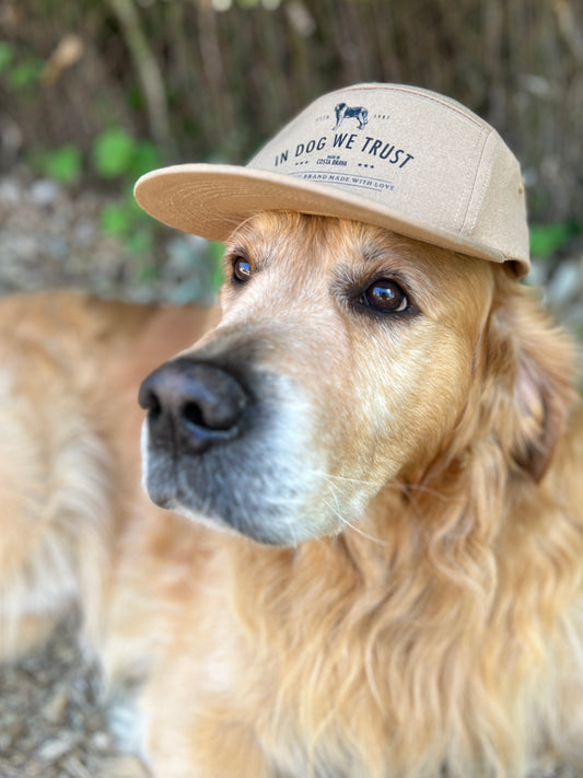 GORRA DOGLOVER