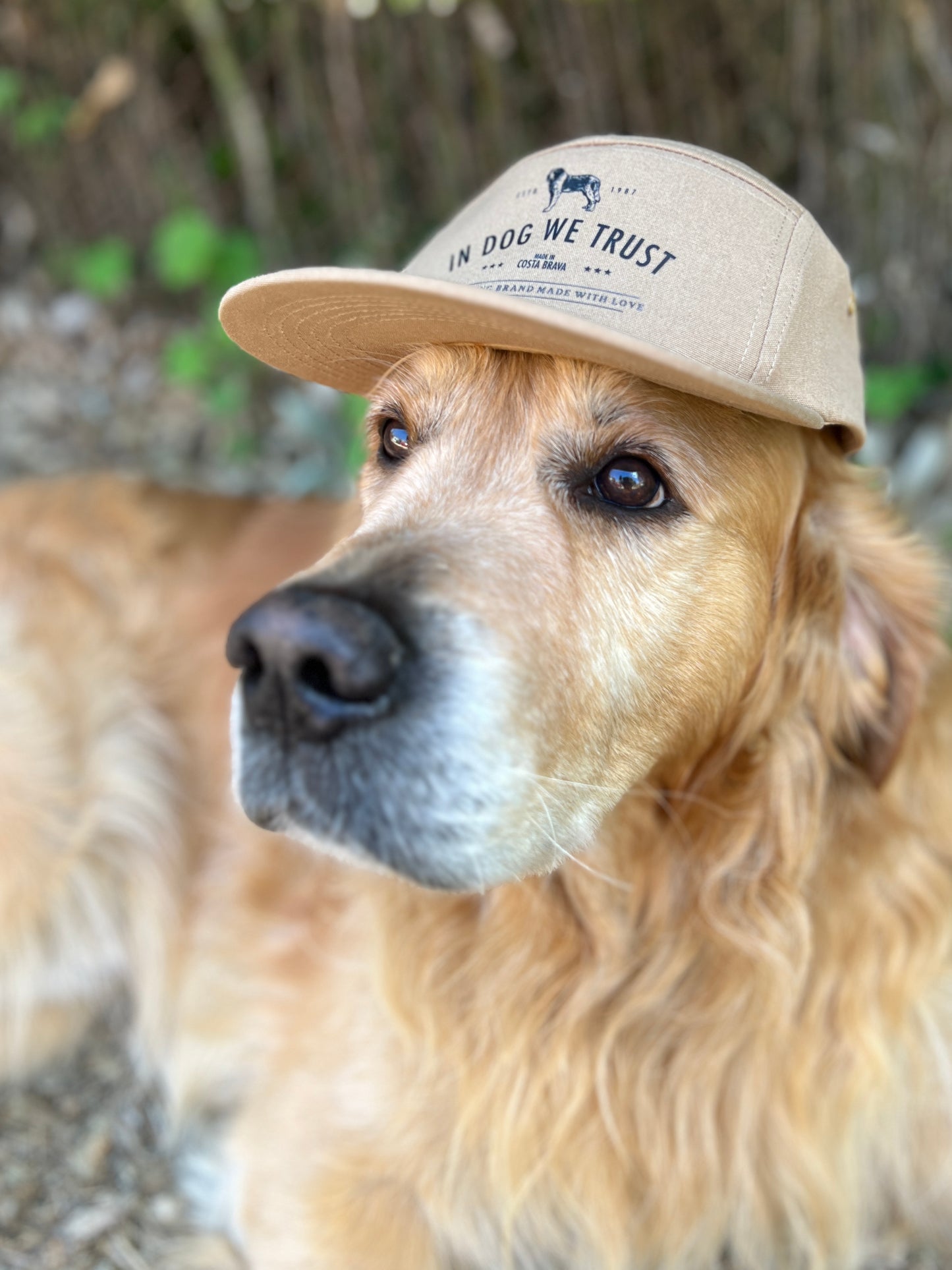GORRA DOGLOVER