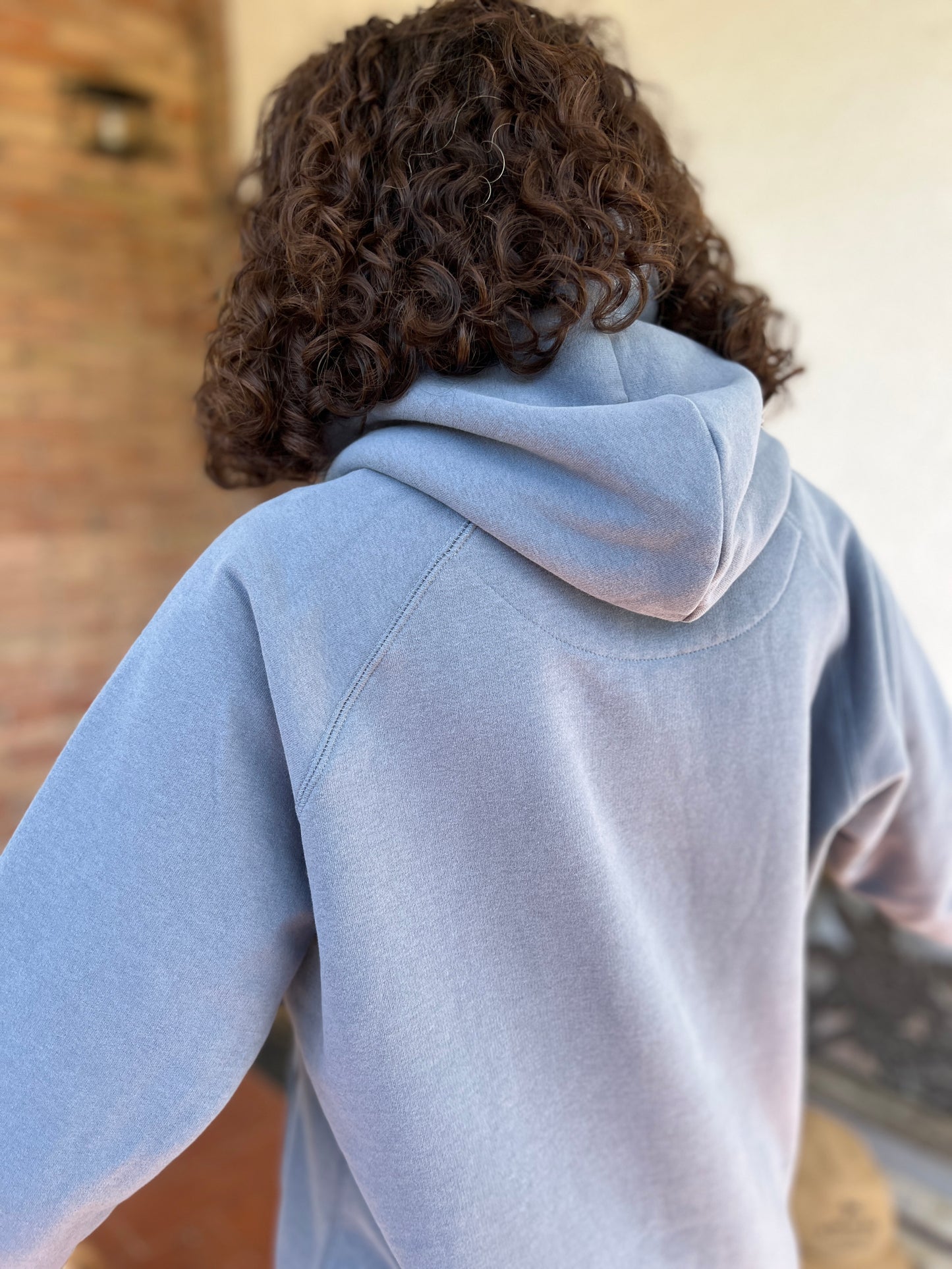 HOODIE LOCURA VINTAGE - UNISEX